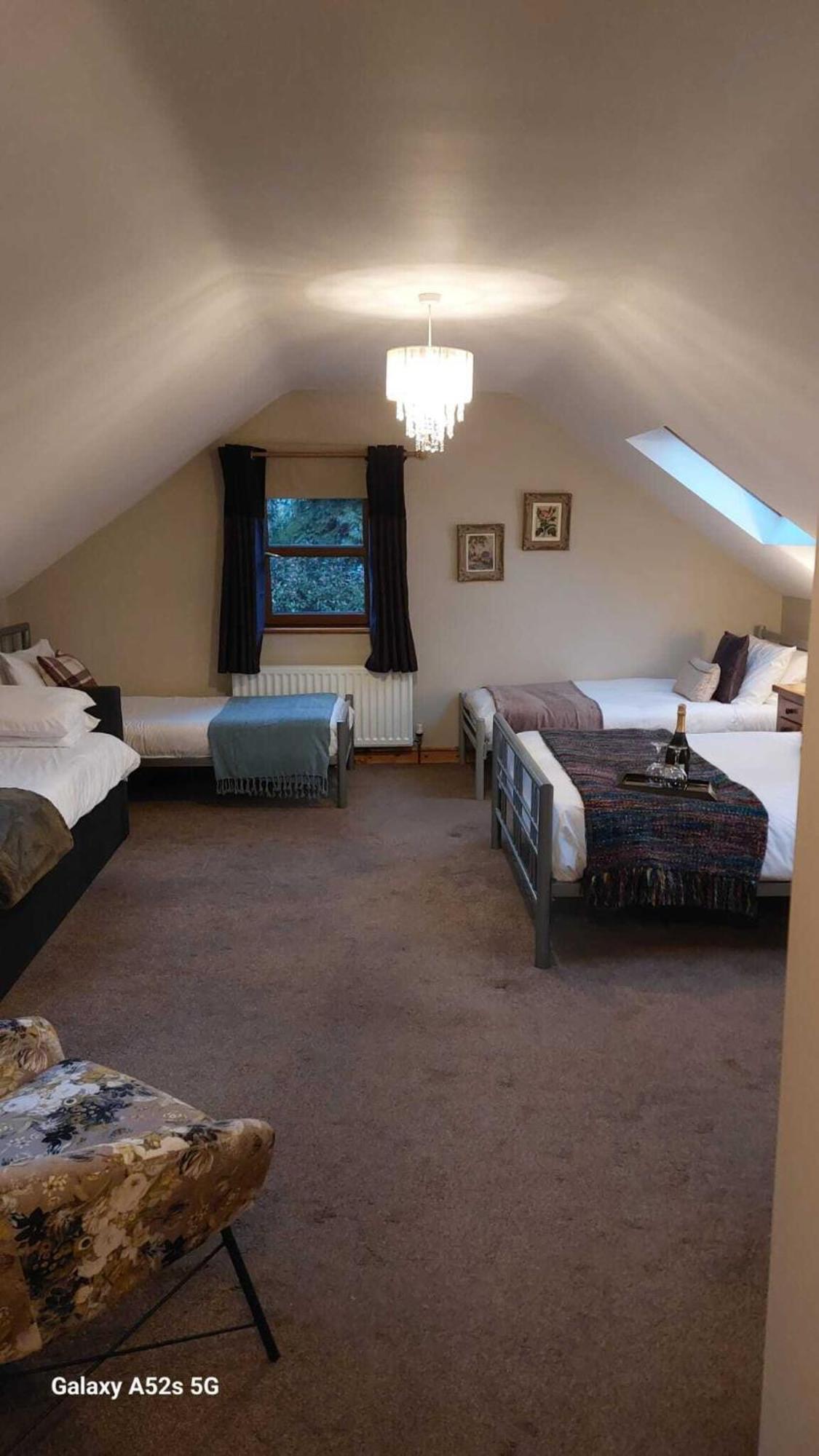 Dunhill Cottage B&B Hillsborough Camera foto